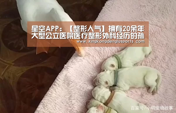 星空竞猜